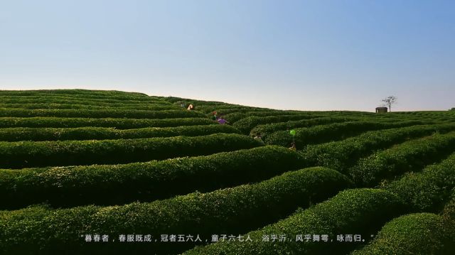 15246352726224950xwd.jpg 微信图片_20180424104735.jpg